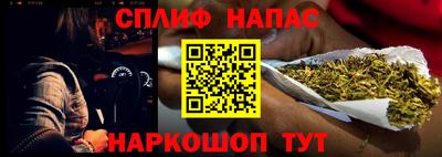 ПСИЛОЦИБИНОВЫЕ ГРИБЫ Заводоуковск