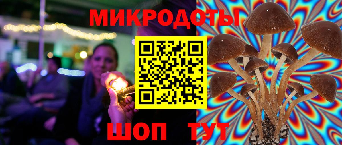 Псилоцибиновые грибы Magic Shrooms Луга