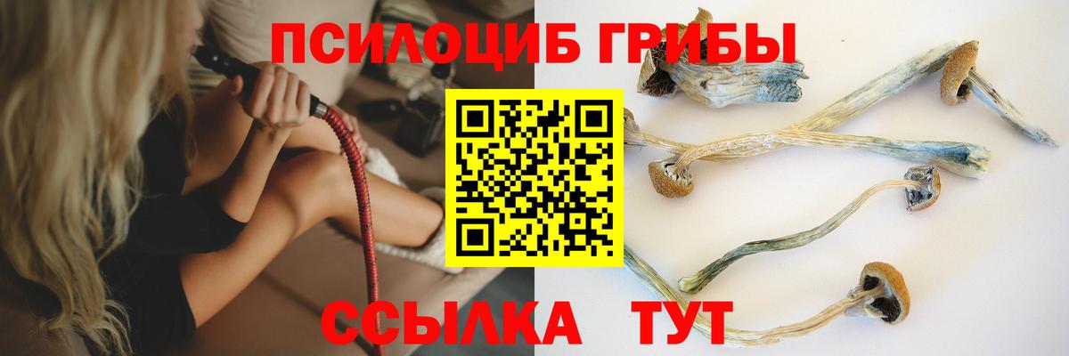 Галлюциногенные грибы мухоморы  Вход с VPN  Псилоцибиновые грибы прущие грибы  Луга 